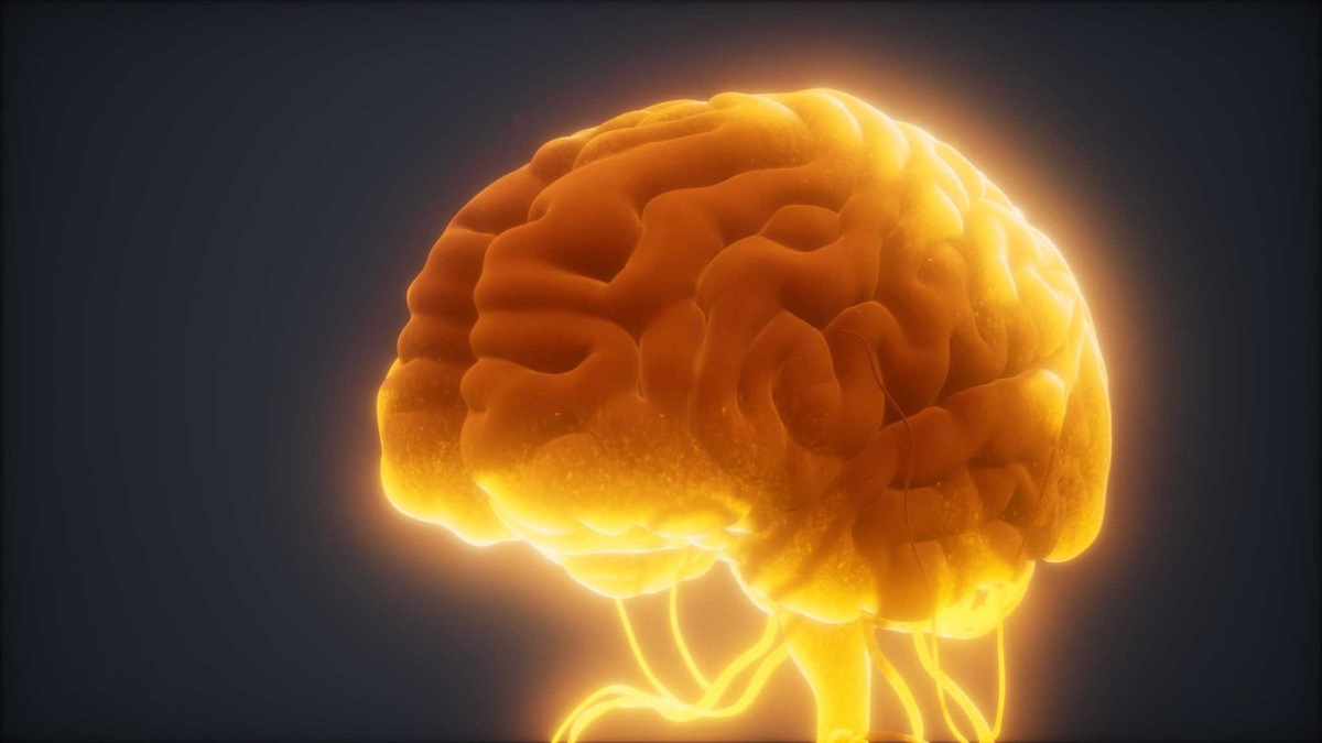脳梗塞のタイプと原因と予防