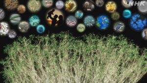 地球の生命は宇宙から！？隕石の分析から分かったこと