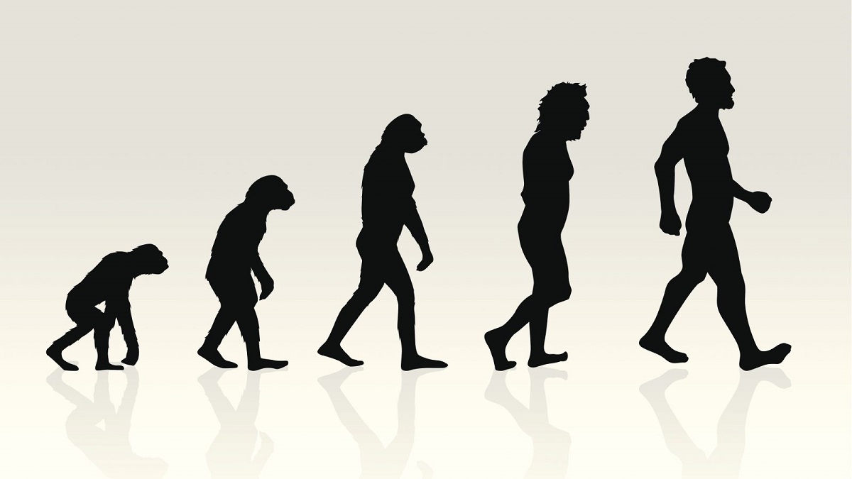 人類の進化はとまらない…1万年後の未来は？
