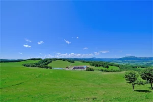 北海道の芝生に入ってはいけない理由とは