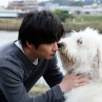 犬は死ぬ直前に飼い主から離れるの？