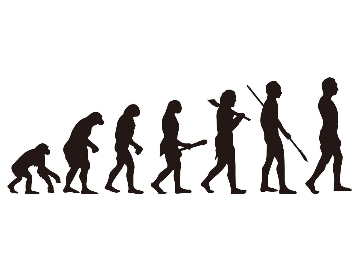 「人類進化の行進図」は違ってた？新説があるらしいよ
