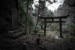 異世界への入り口？廃神社の鳥居を通り抜けると…