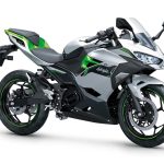 カワサキの「Z e-1」が気になる…補助金が魅力的！