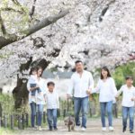 洗い立てジーンズと桜前線