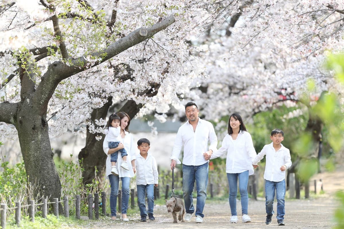 洗い立てジーンズと桜前線