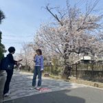 デニムと桜前線：春を待つ洗い立てのジーンズ