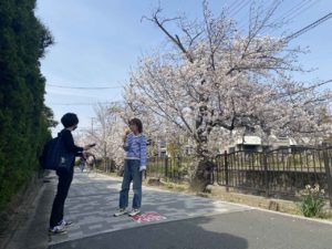 デニムと桜前線：春を待つ洗い立てのジーンズ