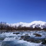 雨水と春のクマ―共生への願い