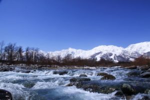 雨水と春のクマ―共生への願い