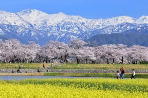 春風に闘志を秘めて：別れと旅立ちの季節に想う