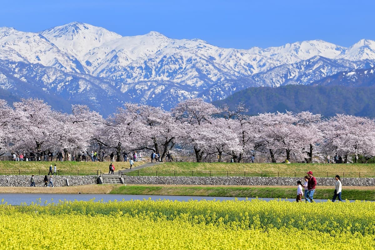 春風に闘志を秘めて：別れと旅立ちの季節に想う