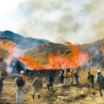 火と人類の長い共存史