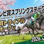 スプリングステークス予想！データと血統で導く穴馬と買い目