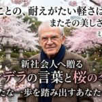 新社会人へ贈るクンデラの言葉と桜の季節