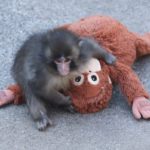 母を求める心と前進する力