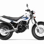 ヤマハTW200なら道なき道も安心…かも！