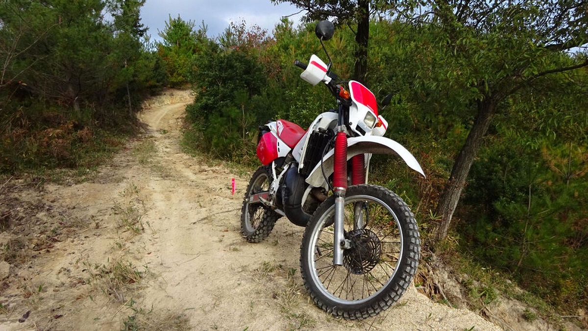 ホンダ・CRM250R…オフロードバイクのレーサーレプリカ！