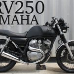 ヤマハ・SRV250…短命だけどかっこいいバイクだった
