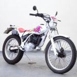 ホンダ・TLM220R…オフロードはいまだに2ストが人気らしい