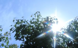 簡単にできる暑さ対策…そして夏に買うべきはこれかも！？