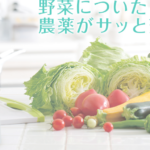 すっきり洗菜ベジシャワーの効果！安全に美味しく食べれる優れもの！