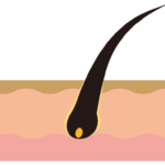 気になる抜け毛は薄毛へのスタートライン！？理想的な頭皮環境へ