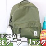 エコバッグはクーラーリュックサックがトレンド！保冷できるリュックに注目！