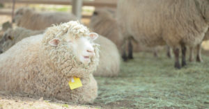 なぜ、眠れないんだ！　外山仁(著)　clover出版 (2020/7/30)