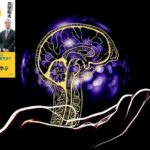 脳のアクセルとブレーキの取扱説明書　真壁昭夫(著), 中野信子(著)　白秋社 (2020/9/24)