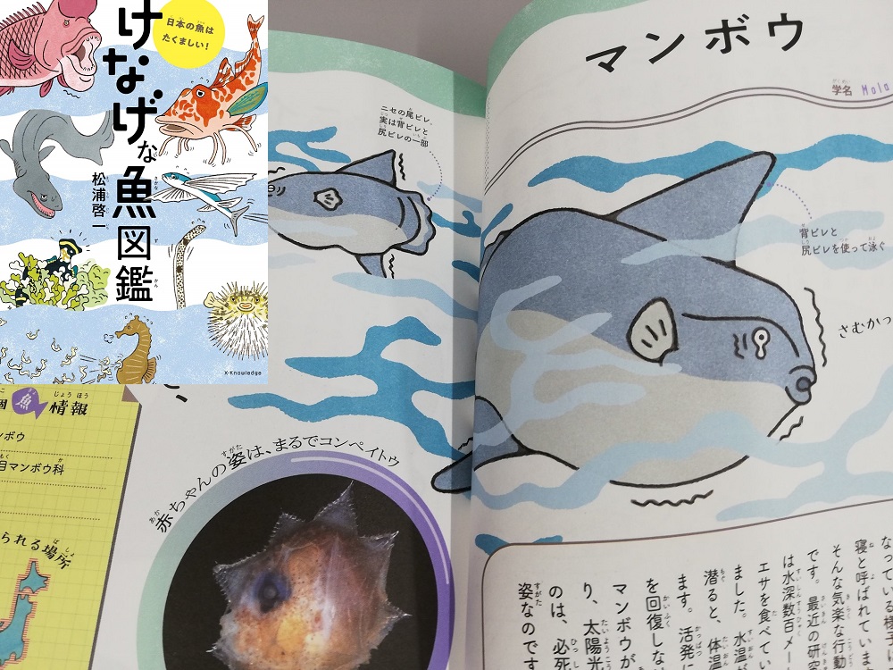 けなげな魚図鑑　松浦啓一(著)　エクスナレッジ (2020/7/15)