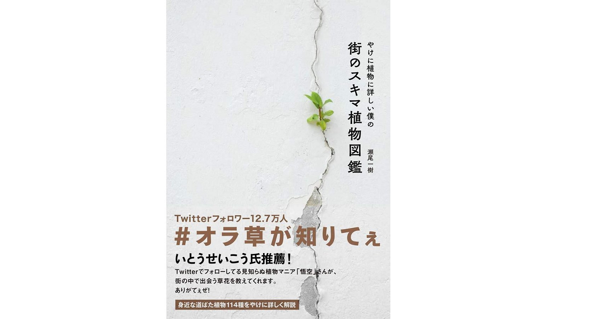 やけに植物に詳しい僕の街のスキマ植物図鑑　瀬尾一樹(著)　大和書房 (2020/12/17)