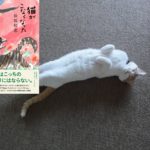 猫がこなくなった　保坂和志 (著)　文藝春秋 (2021/1/14)