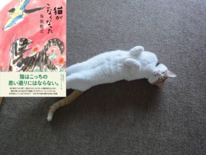 猫がこなくなった　保坂和志 (著)　文藝春秋 (2021/1/14)