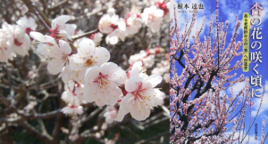 杏の花の咲く頃に 根本達也 (著) 東京図書出版 (2016/7/22)