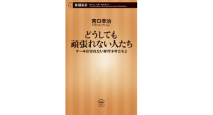 どうしても頑張れない人たち　ケーキの切れない非行少年たち2　宮口幸治(著)　新潮社 (2021/4/19)