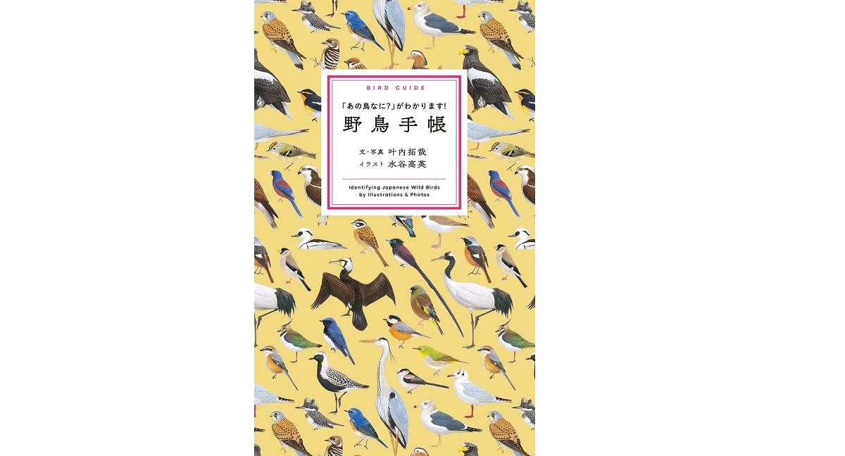 野鳥手帳　叶内拓哉(著)、水谷高英(イラスト)　文一総合出版 (2021/4/5)
