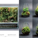 パルダリウムハンドブック　長谷圭祐(著)、STRAIGHT(編集)　双葉社 (2021/5/19)