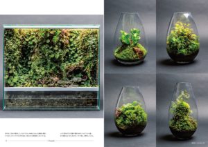 パルダリウムハンドブック　長谷圭祐(著)、STRAIGHT(編集)　双葉社 (2021/5/19)