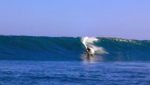 なぜサーファーにハゲがいないのか 塩シャンプーで髪が増えた! 渡辺新(著)、山口麻子(監修) 扶桑社 (2021/4/29)