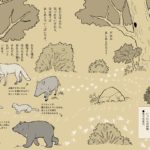 あえるよ! 山と森の動物たち　今泉忠明(著)、帆 (著)　朝日出版社 (2021/6/11)