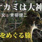 オオカミは大神 弐 狼像をめぐる旅　青柳健二(著)　天夢人 (2021/6/14)