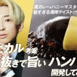 ヒカル考案 冗談抜きで旨いハンバーグ　（120ｇ） 黒カレーソース×ハニーマスタードチーズ 6個入り 冷凍