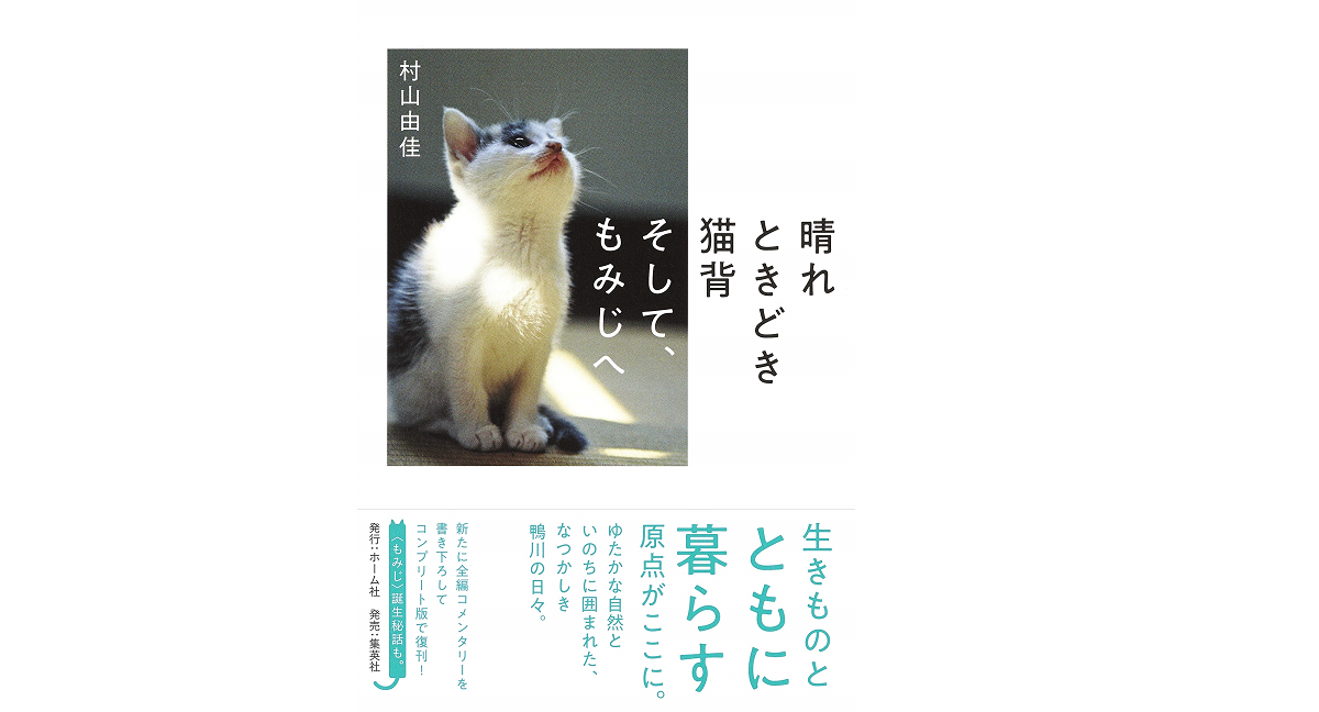 晴れときどき猫背 そして、もみじへ　村山由佳(著)　集英社 (2021/9/17)　869円