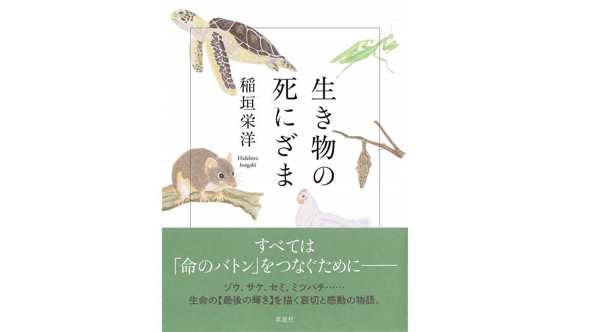 生き物の死にざま　稲垣栄洋 (著)　草思社 (2021/12/3)　825円
