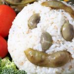 おばあめし　大迫知信&おばあ (著)　清流出版; A5判変形並製版 (2022/9/13)　1,760円