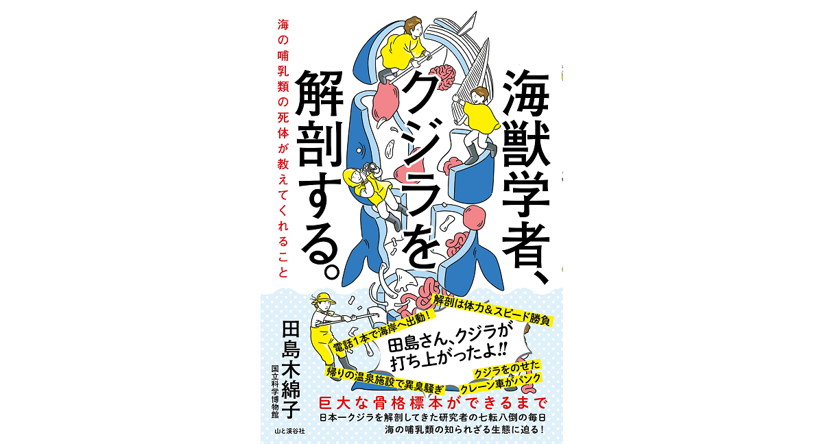 海獣学者、クジラを解剖する。　田島木綿子 (著)　山と渓谷社 (2021/7/17)　1,870円