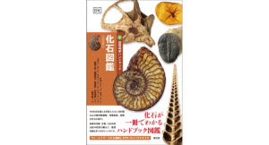 化石図鑑　デヴィッド・J・ウォード (著), コリン・キーツ (写真),相場大佑 (監修, 翻訳)　創元社 (2023/2/27)　3,300円