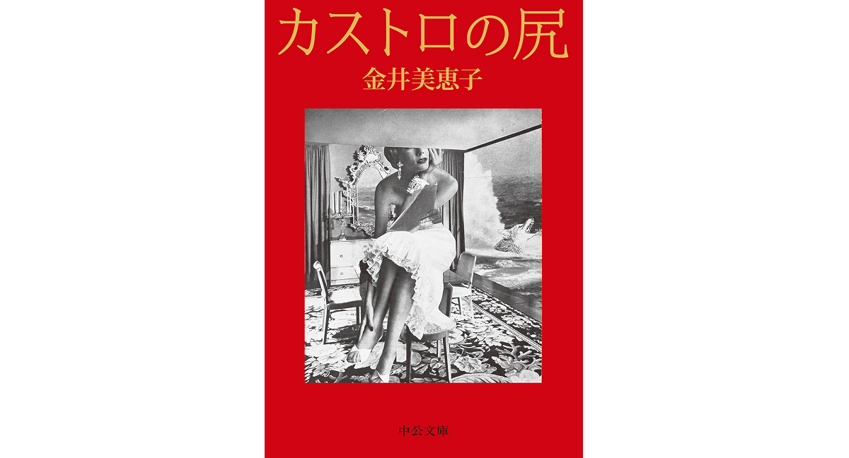 カストロの尻　金井美恵子 (著)　中央公論新社 (2024/2/22)　1,320円