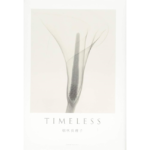 TIMELESS　朝吹真理子 (著)　新潮社; 文庫版 (2024/2/28)　825円